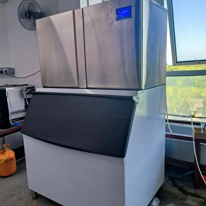 Customized 100kg/24h Double He - Commercial Ice Maker 100Kg 评论和价格