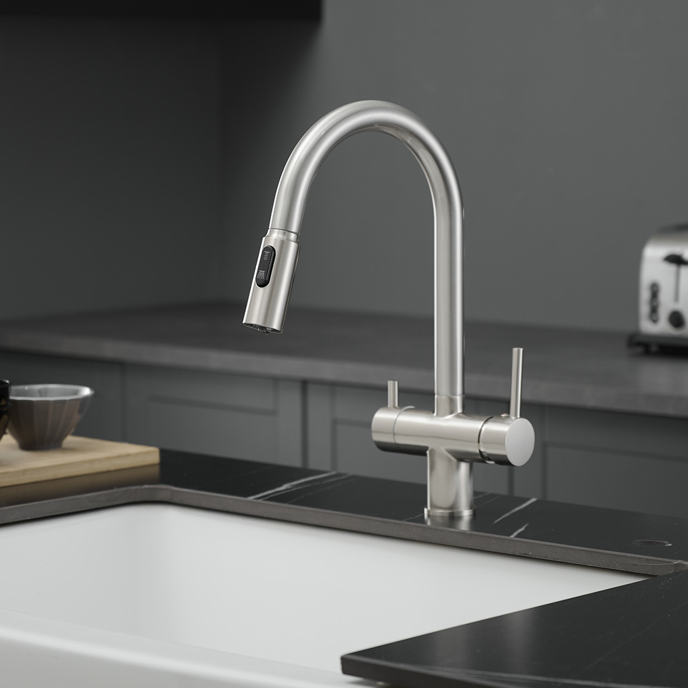 Newly Pull Out Filter Kitchen  - Ice Maker Water Filter 评论和价格