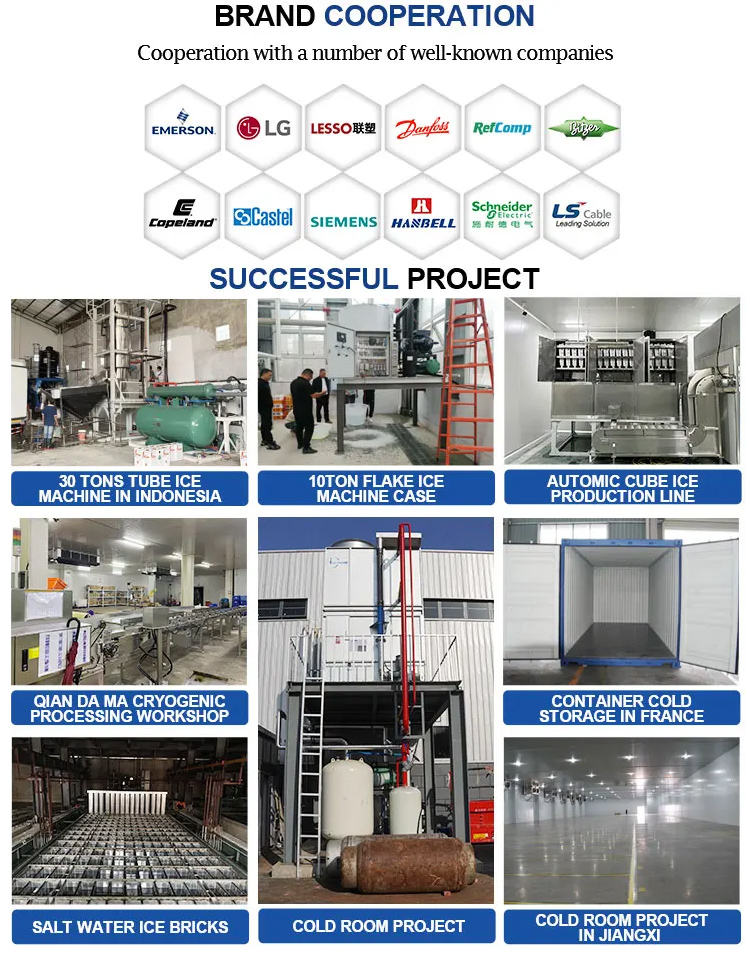 Icemedal 1Ton Daily for Sale E - Block Ice Machine 1 Ton 评论和价格