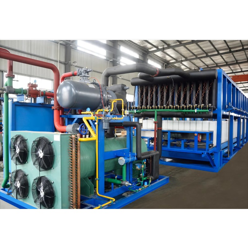 Custom 1 2 3 5 10 20 Ton Block - Ice Maker Machine 25Kg 评论和价格